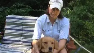 Sarah Wishart dog