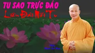 Tu sao trực đáo liên đài mới tu. Thầy Thích Trí Huệ mới nhất 2025