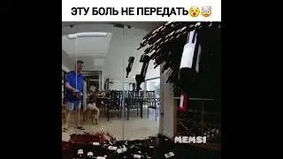 Жёсткое невезение😵🤯 #юмор #приколы #разбил #вино #попандос