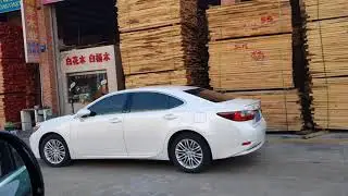 Foshan-Shunde lumber market