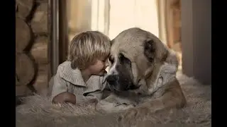 CHILDREN AND CUTE ANIMALS PHOTO COMPILATION