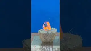 Science experiments #science #experiment #shorts #india #viral @MadScientist_658