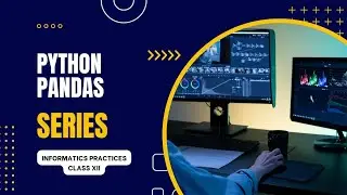Informatics Practices Class 12 | Python Pandas | Accessing Series Elements