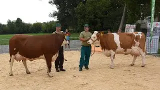 18. chovateľsk&yacute; deň hov&auml;dzieho dobytka