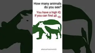 How many animals do you see? #iqtest #smarttest #mindexercise #shorts