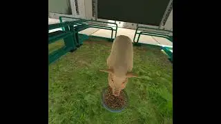 Mycofix Demo