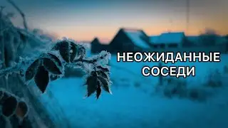 Чудесный морозный день. Стираем руками. Куда ставить корову?