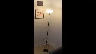 Mainstays pole  Floor lamp Assembly