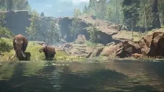 Far Cry Primal Benchmark 1080p