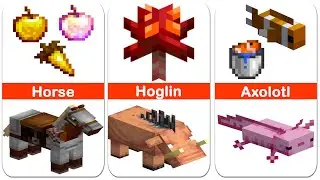 Minecraft All Mobs and Their Breeding Food