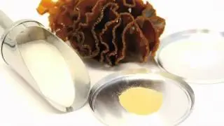 Stemtech International, Inc. &bull; The Stem Cell Nutrition Company