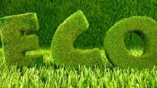 What is Steam Car Wash (Explained in Tamil) by Eco Car Spa