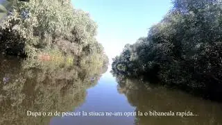 Pescuit in Delta Dunarii 2020 - Pilker VS Cicada, bibaneala in viteza