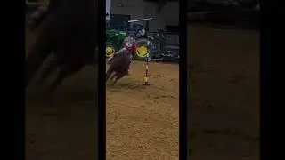 That end pole 💨 #barrelracing #fypシ #living #crose #wildrunnergal #barrelhorse #fypシ #polebending