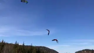 Arctic Wings FreeFlight Club