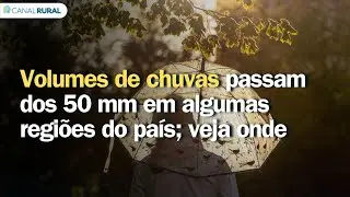 Previs&atilde;o do tempo | Brasil 15 dias | Volumes se superam em regi&otilde;es do pa&iacute;s; veja onde