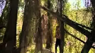 YouTube  Lewis amp Clark  Great Journey West National Geographic HD