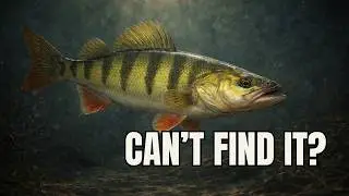 Red Dead Redemption 2 &ndash; Legendary Perch Location & Fishing Guide