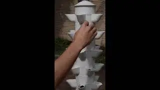 Гідропоніка