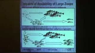 Dr. George Hunt - University of Washington