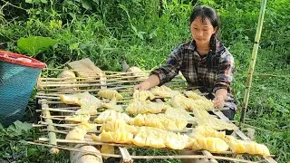 Harvesting wild bamboo shoots and processing dried bamboo shoots by hand - Journey to make a living