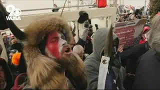 Lawyers for Capitol riot defendants say their clients are mentally ill