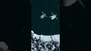 Look at the cute penguins Emperor penguin chicks leap off a 50-foot ice. #shorts