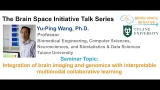 Integration of brain imaging and genomics with interpretable multimodal collaborative learning