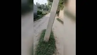 Dangerous Electric Pole in Middle of Street