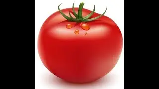 tomato spinning to aristocratic 18th-century music 4 hours 44 minutes