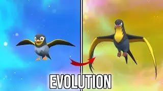 Wattrel | Kilowattrel | Evolution in Pokemon Scarlet & Violet | SV