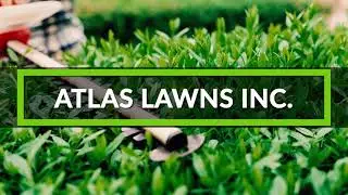 Tree Trimming Broward County, FL| Atlas Lawns Inc
