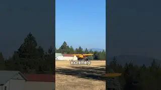 Fatal Mistake that could be avoided #pilot #plane #crash