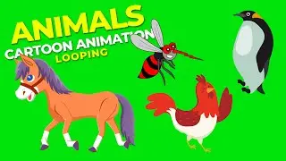 No Copyright Video - Animals Cartoon - Green Screen Motion Graphics Animated Copyright Free