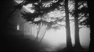 A seamlessly looping atmospheric horror video stock footage | Copyright free horror footage