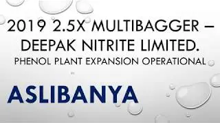 2019 Deepak Nitrite Limited - 2.5X multibagger