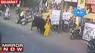 Shocking Bull Attack Caught On Camera