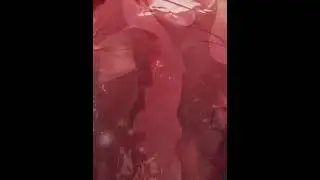How Human Heart valves Work 3D Animation \tricuspid valve\bicuspid valve