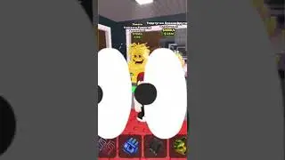 1% Brainrot Fell Out!? Lucky Blocks Secret 😋