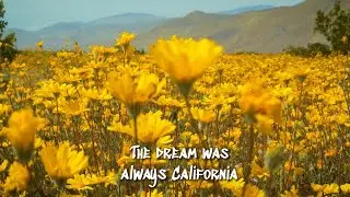 Chad Tepper- California ft Denm lyric video
