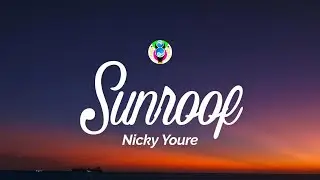 Nicky Youre, dazy - Sunroof (Lyrics) 