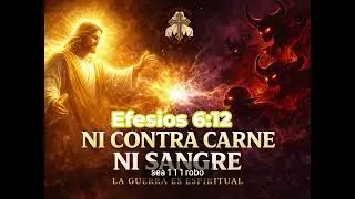 NI CONTRA CARNE NI SANGRE
