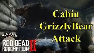 RDR2 Cabin Grizzly Bear Attack