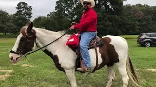 COWBOYS AND BIKER CAMP 2019