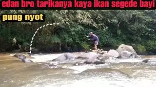 Mancing ikan mahsser di sungai arus deras tarikanya gak ada yang jul