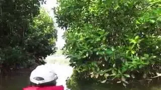 Nandini river 2