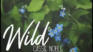 Cassie Noble - Wild