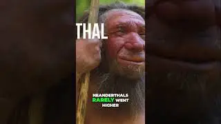 Denisovan Discovery: Ancient Humans Conquered High Altitudes WAY Earlier!