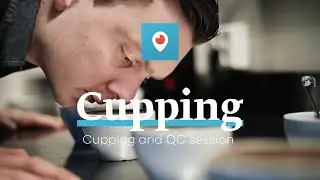Cupping Session on Periscope with Tim Wendelboe