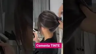 Mechas Grises gray